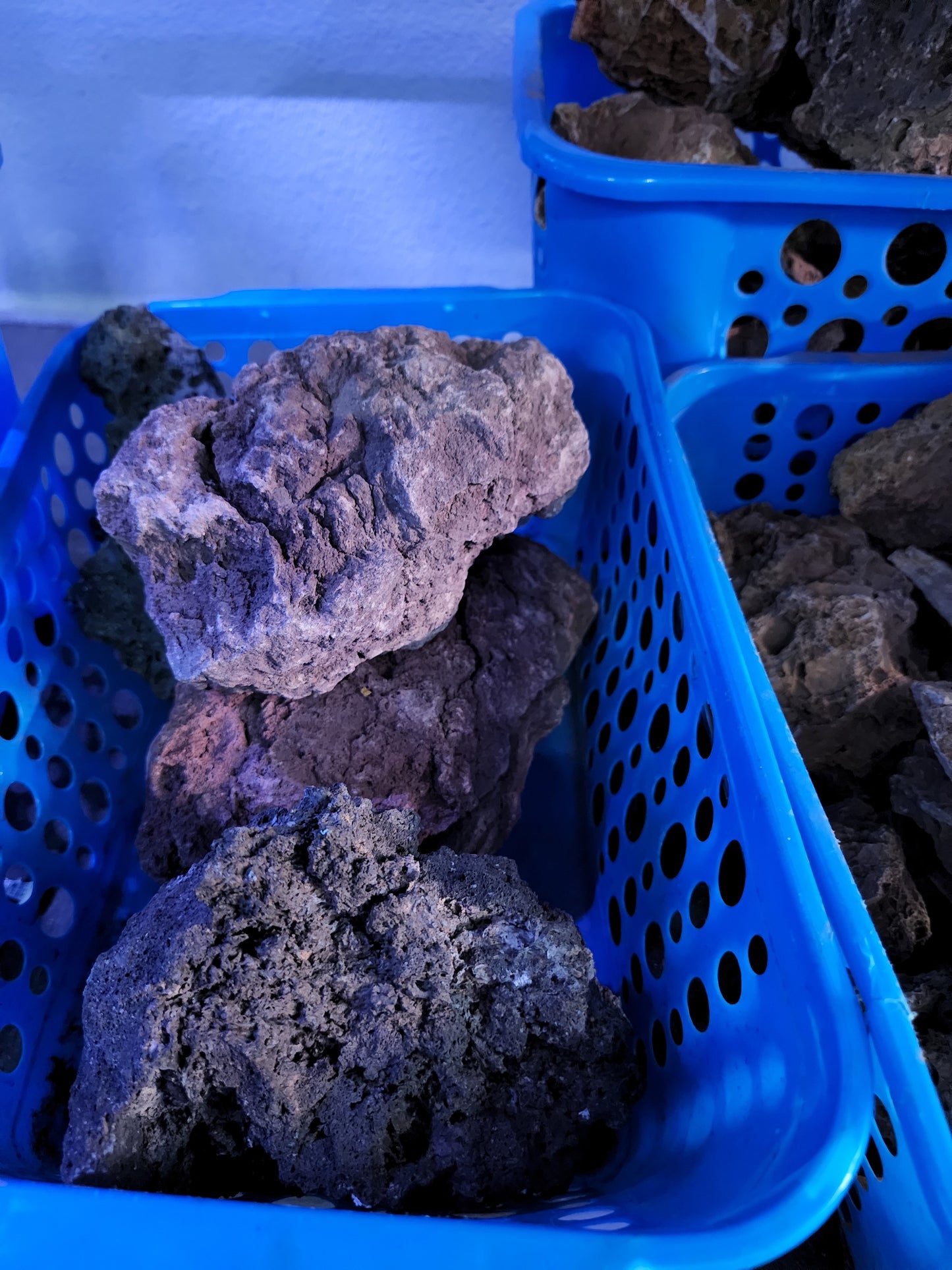 Lava rock 1 pound