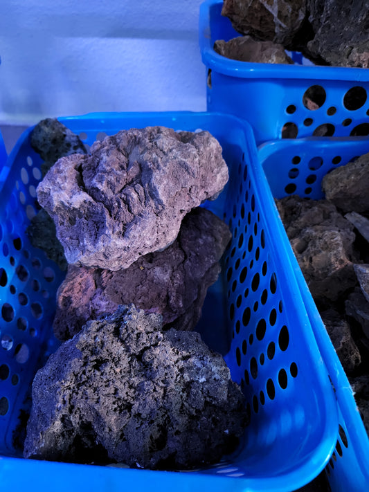 Lava rock 1 pound